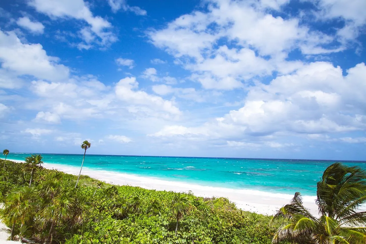 Coral Beachside Daire Bailey Town  Bahamalar