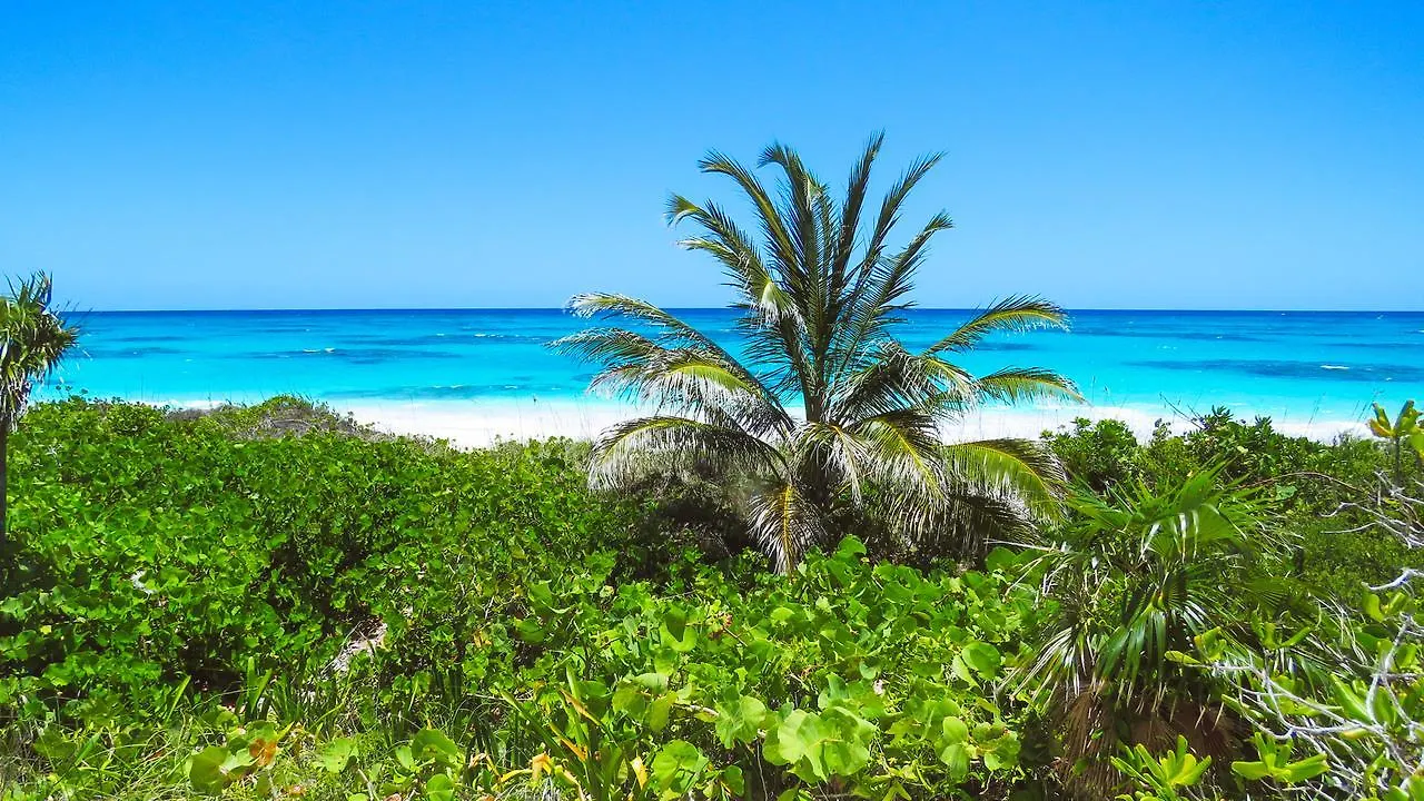 Coral Beachside Daire Bailey Town  Bahamalar