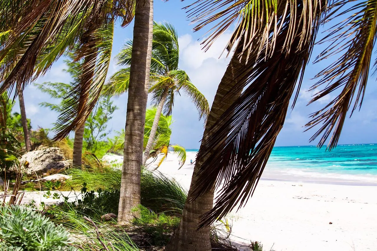 Coral Beachside Daire Bailey Town